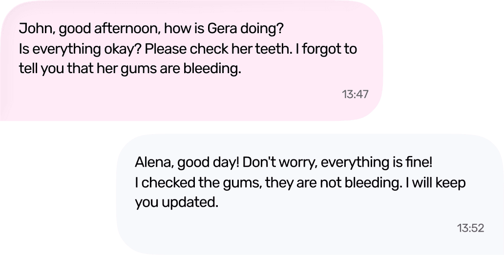 Chat between a pet owner and a pet sitter